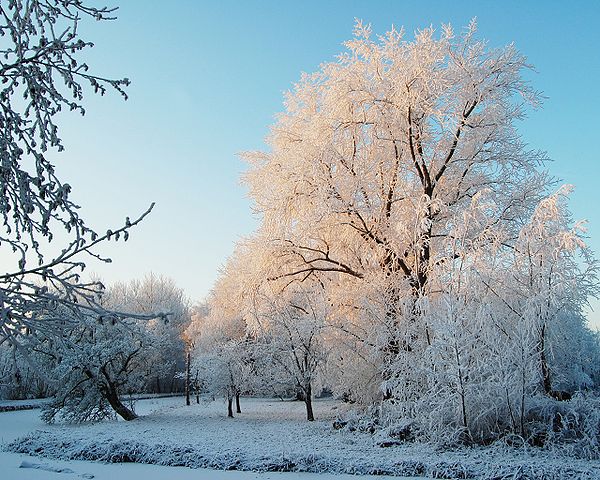 winterliche Schneelandschaft