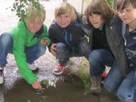 Entdeckungen in der Pfütze © Evangelische Montessori Schulen Plauen