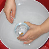 Gummibärchen auf dem Schüsselgrund; © (BIBER) Schulen ans Netz Gummibärchen auf dem Schüsselgrund; © (BIBER) Schulen ans Netz