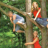 Coverbildausschnitt; Quelle: baumschlau-Drehfix Coverbildausschnitt; Quelle: baumschlau-Drehfix