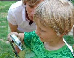 Kind betrachtet Blattluse mit einer Handlupe