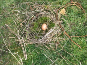 Hühnerei im selbst gebastelten Nest, © Schulen-ans-Netz e. V. (BIBER)