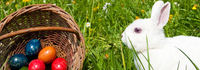Hase mit Osterkorb; © Kzenon / fotolia.com