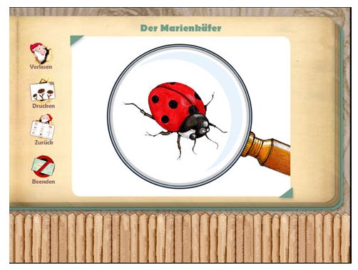 Screenshot aus dem Spiel: Marienkäfer unter der Lupe Screenshot aus dem Spiel: Marienkäfer unter der Lupe